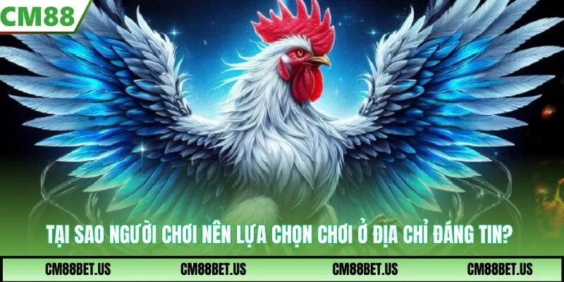 Tại sao người chơi nên lựa chọn chơi ở địa chỉ đáng tin?