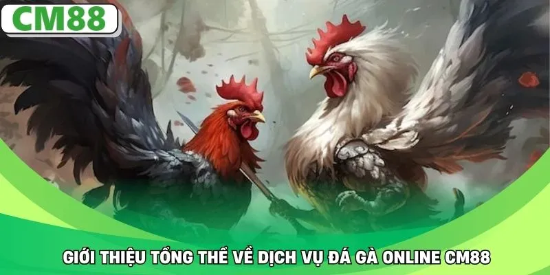 Giới thiệu tổng thể về dịch vụ đá gà online CM88
