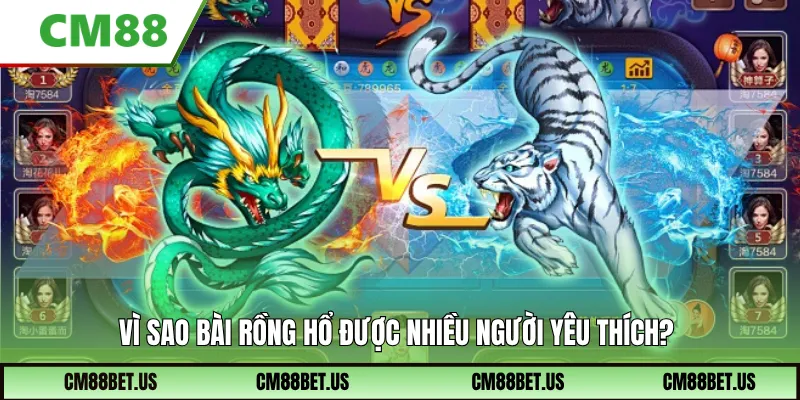 Vì sao bài rồng hổ được nhiều người yêu thích?